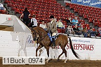 11buck_0974 proof