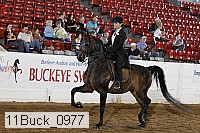 11buck_0977 proof