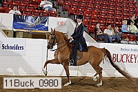 11buck_0980 proof
