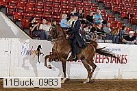 11buck_0983 proof
