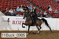 11buck_0985 proof