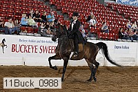 11buck_0988 proof