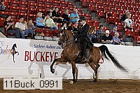 11buck_0991 proof