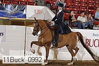 11buck_0992 proof