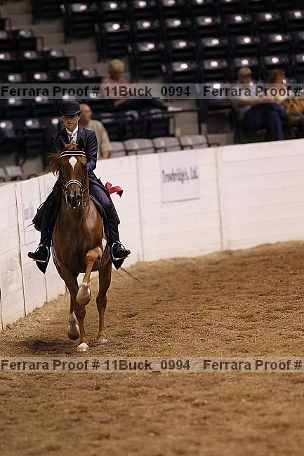 Proof 11buck_0994