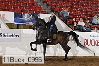 11buck_0996 proof