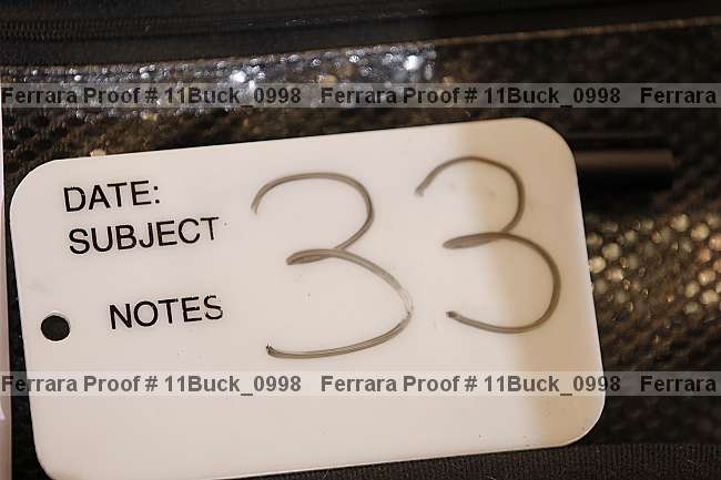Proof 11buck_0998
