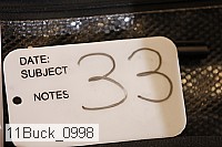 11buck_0998 proof