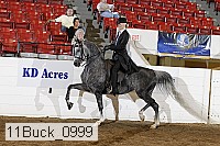 11buck_0999 proof