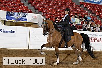 11buck_1000 proof