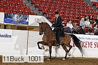 11buck_1001 proof