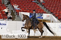 11buck_1003 proof