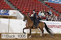11buck_1005 proof