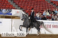 11buck_1006 proof