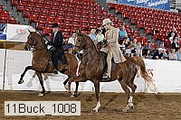 11buck_1008 proof