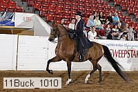11buck_1010 proof