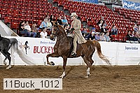 11buck_1012 proof