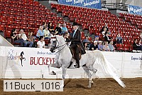 11buck_1016 proof