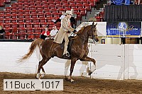 11buck_1017 proof