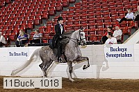 11buck_1018 proof