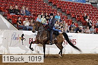 11buck_1019 proof