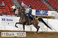 11buck_1020 proof