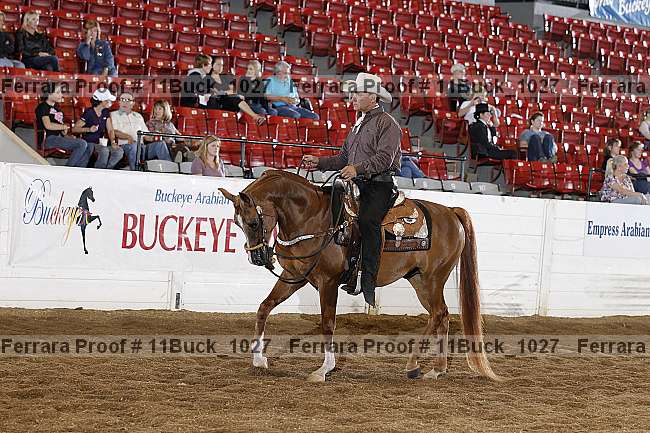 Proof 11buck_1027