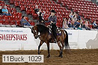 11buck_1029 proof