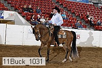 11buck_1031 proof