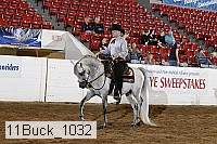 11buck_1032 proof