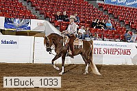 11buck_1033 proof