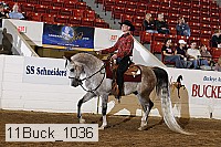 11buck_1036 proof