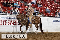 11buck_1038 proof
