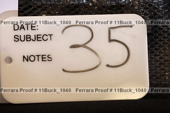 Proof 11buck_1040