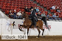 11buck_1041 proof