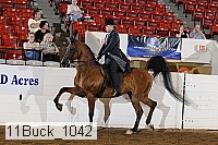 11buck_1042 proof