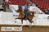 11buck_1043 proof