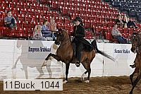 11buck_1044 proof