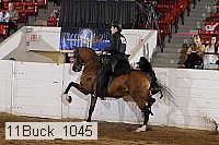 11buck_1045 proof