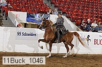 11buck_1046 proof