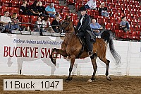11buck_1047 proof