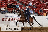 11buck_1048 proof