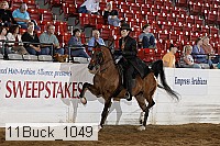 11buck_1049 proof
