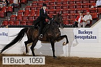 11buck_1050 proof