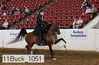 11buck_1051 proof