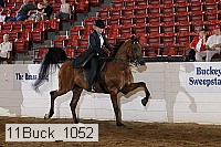 11buck_1052 proof