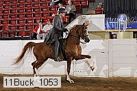11buck_1053 proof