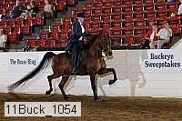 11buck_1054 proof