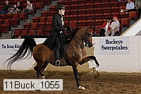 11buck_1055 proof