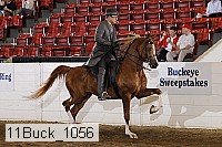 11buck_1056 proof